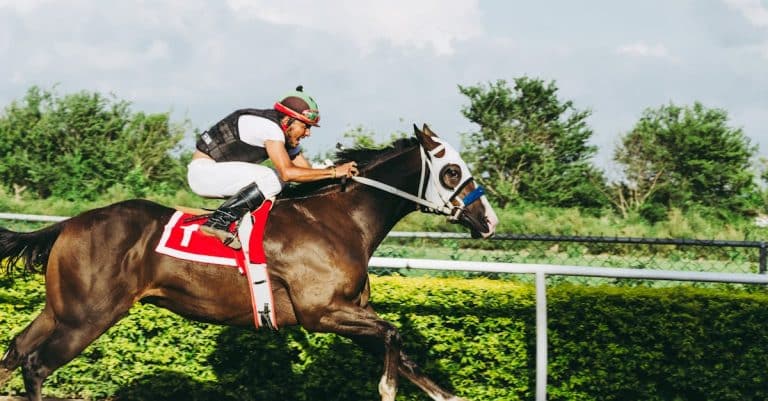 Comment gagner gros grâce aux paris sportifs ?