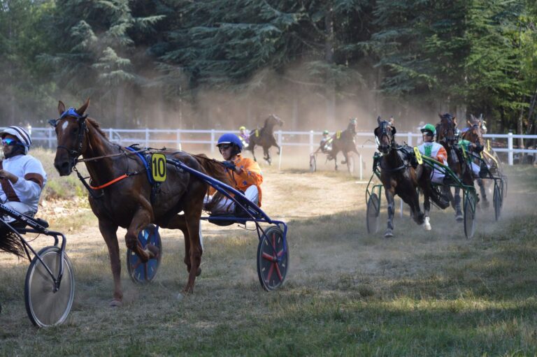 Les clés pour réussir un pronostic pari sportif gagnant