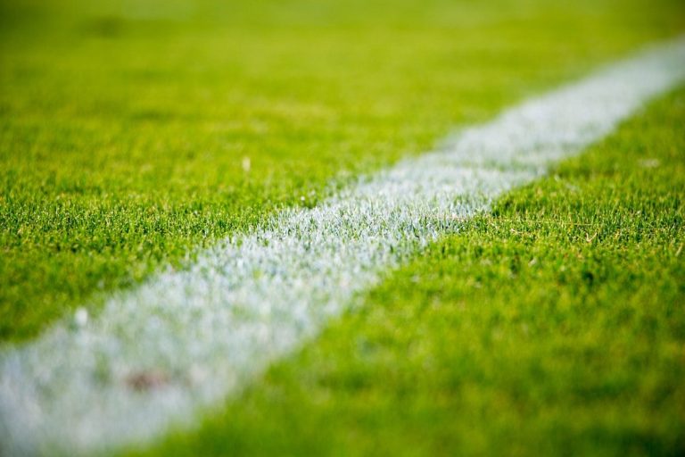 Paris sportifs en ligne : comment choisir la bonne plateforme ?